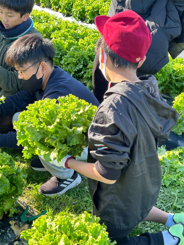 f:id:naniwatikatu:20231125173638j:image