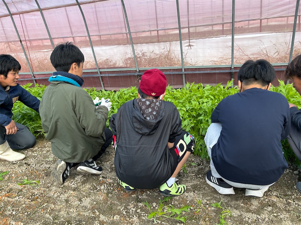 f:id:naniwatikatu:20231125174124j:image