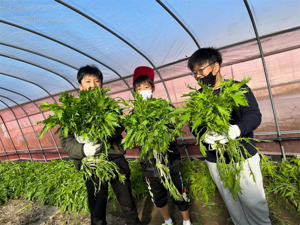 f:id:naniwatikatu:20231125174136j:image