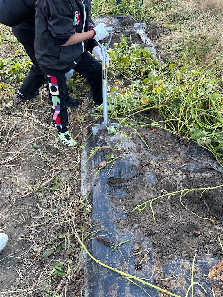 f:id:naniwatikatu:20231125174148j:image