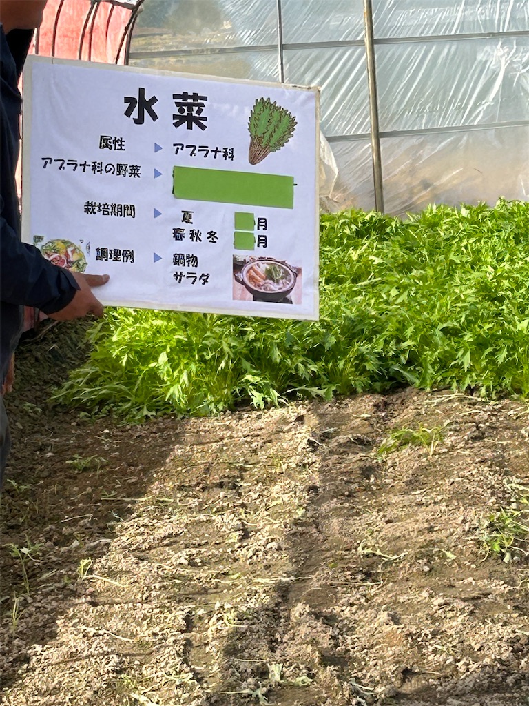 f:id:naniwatikatu:20231125174153j:image