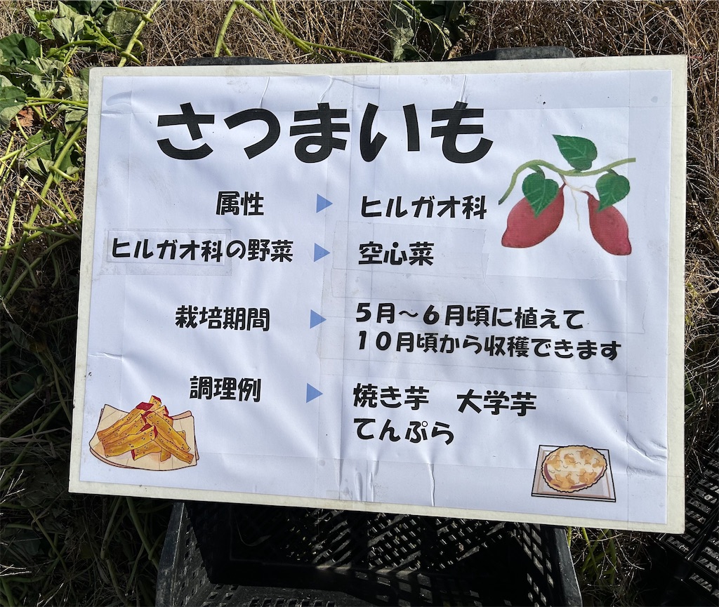 f:id:naniwatikatu:20231125174212j:image