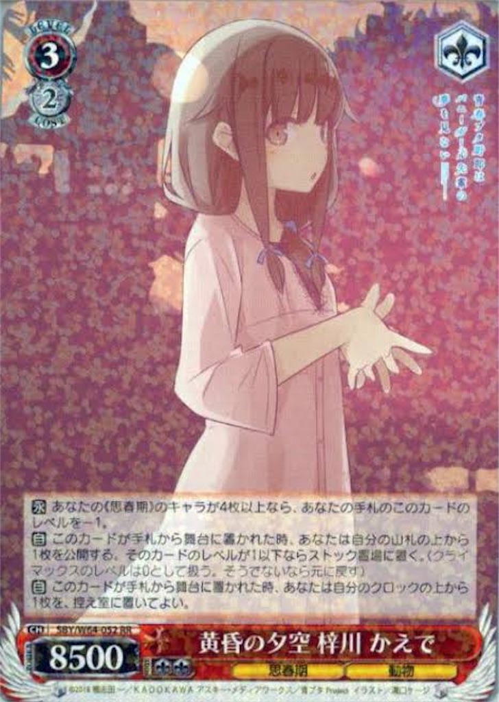 f:id:nanjo_ws:20191206124335j:image f:id:nanjo_ws:20191206124335j:image