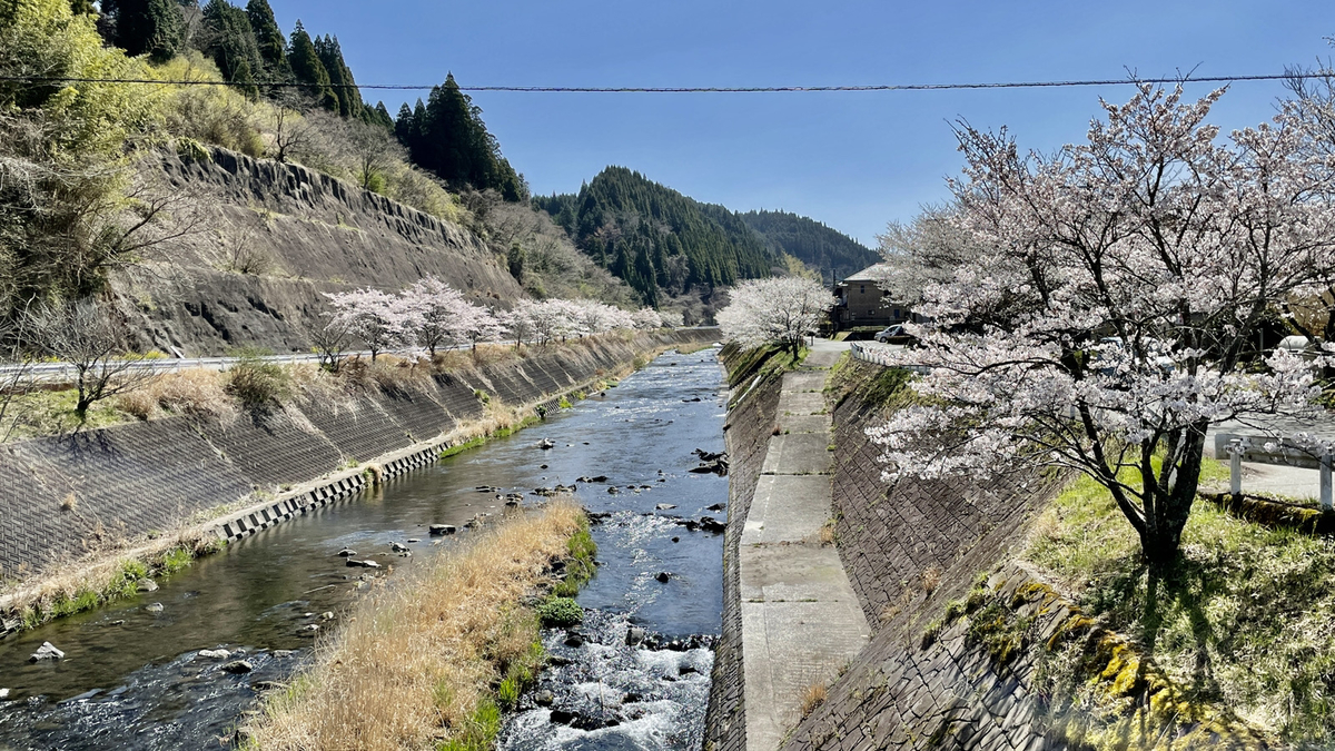 めっちゃ天気いい 明日もきっといい天気 飛行機雲すぐ消えたから 南城苑の勝手口