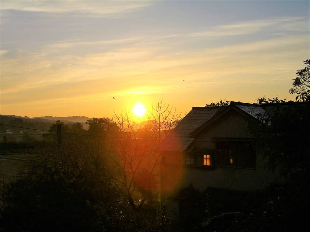 f:id:nankonyan:20061029061854j:plain f:id:nankonyan:20061029061854j:plain