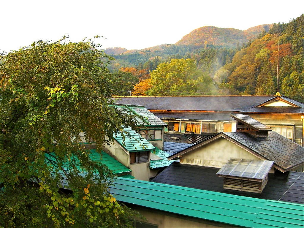 f:id:nankonyan:20061029061958j:plain f:id:nankonyan:20061029061958j:plain
