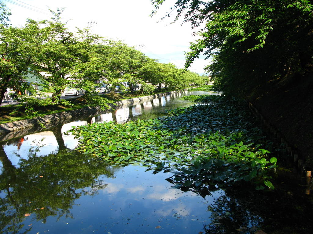 f:id:nankonyan:20100807161139j:plain