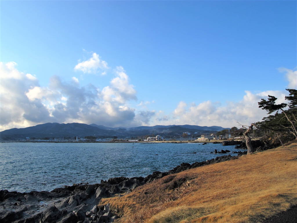 f:id:nankonyan:20111230150049j:plain