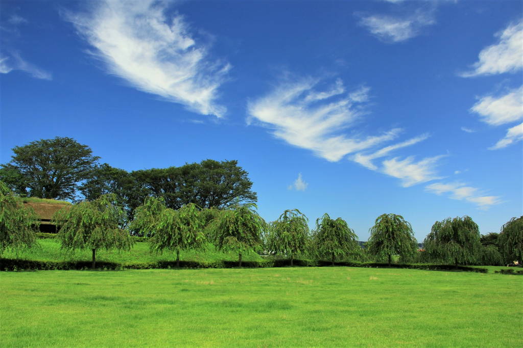 f:id:nankonyan:20120814103344j:plain