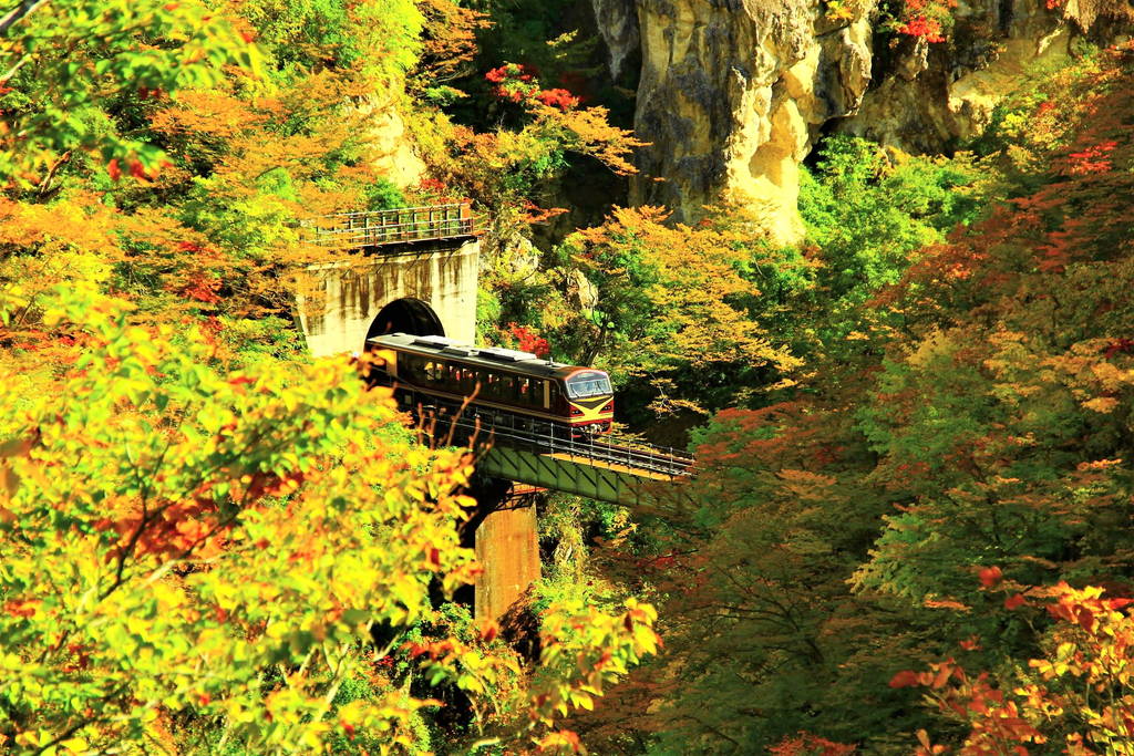 f:id:nankonyan:20121029113011j:plain f:id:nankonyan:20121029113011j:plain