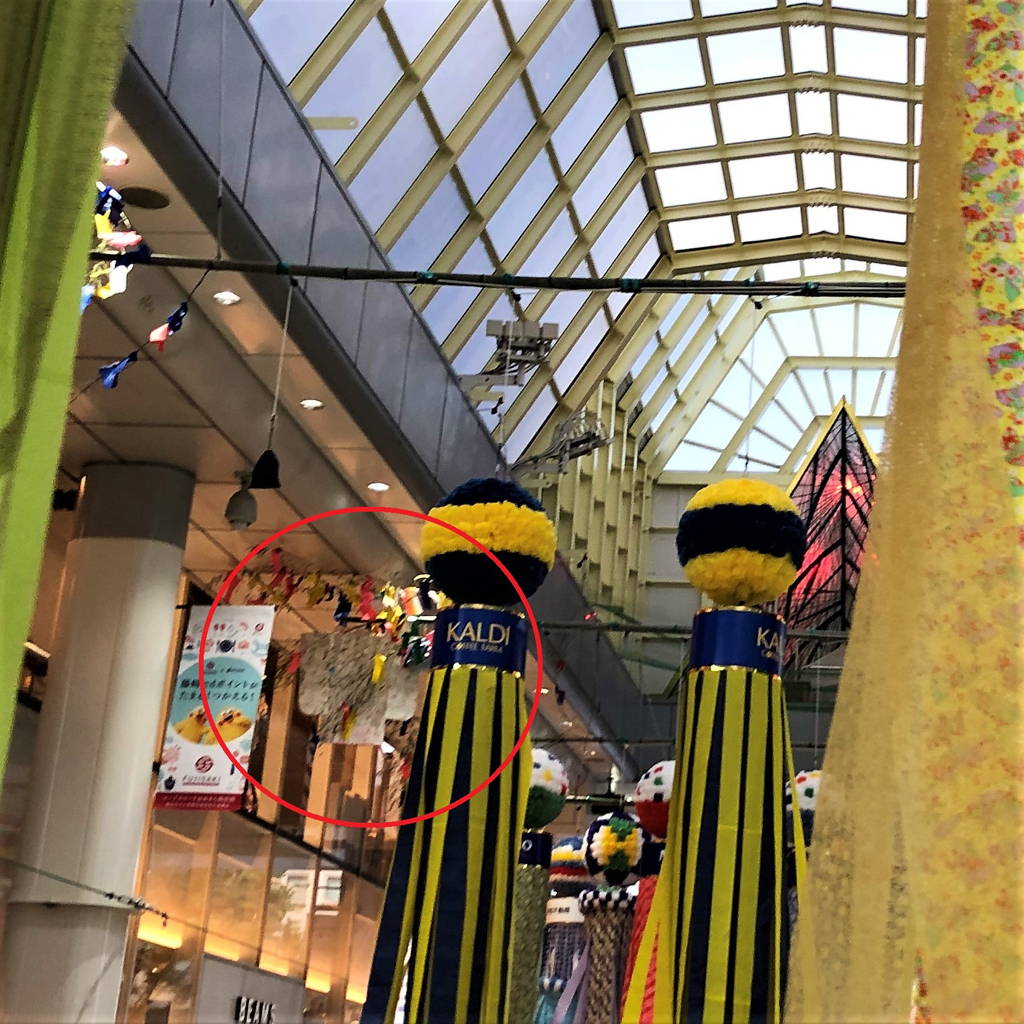 f:id:nankonyan:20190806175547j:plain