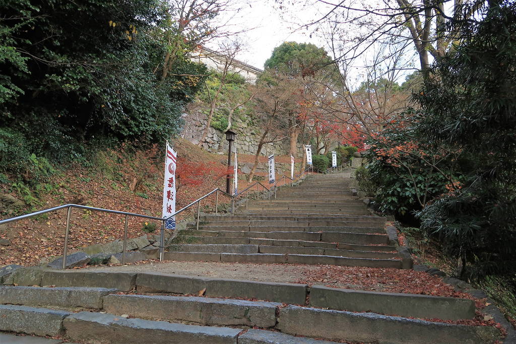 f:id:nankonyan:20191220154247j:plain