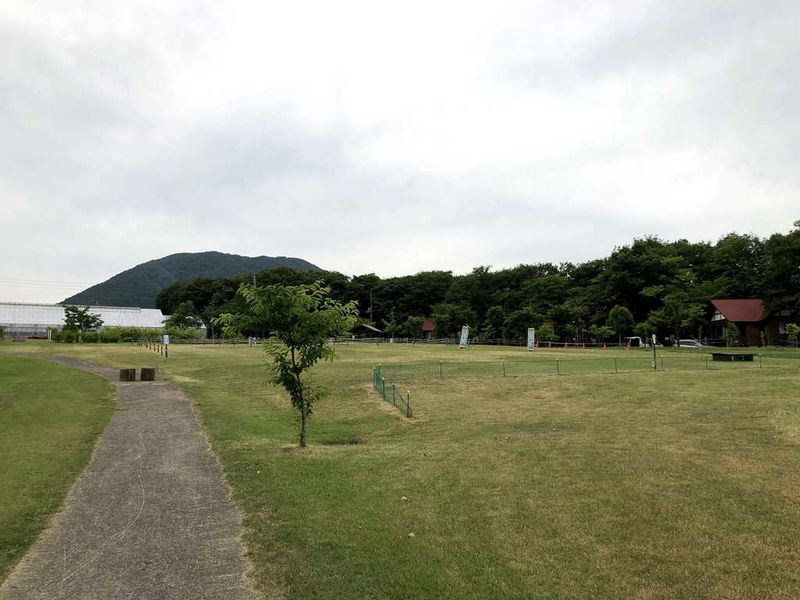 f:id:nankonyan:20200620064130j:plain