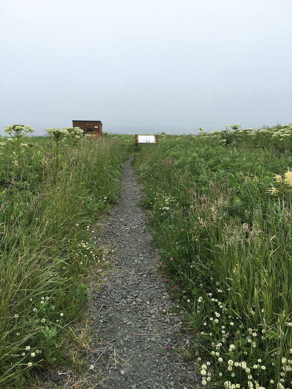 f:id:nankonyan:20200624120821j:plain