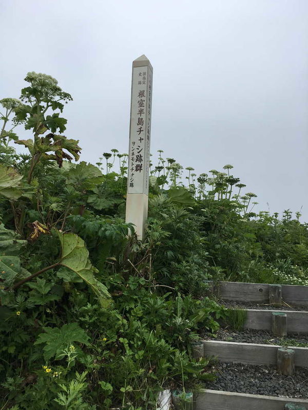 f:id:nankonyan:20200624120825j:plain