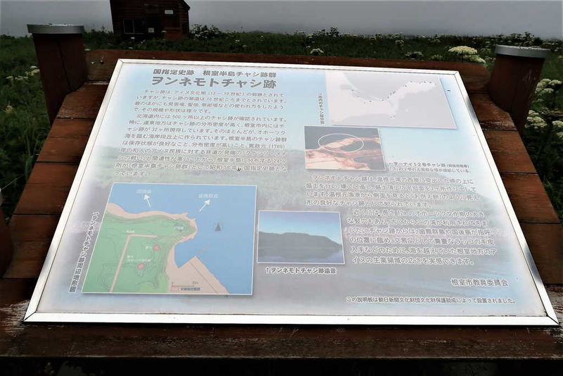 f:id:nankonyan:20200624120847j:plain