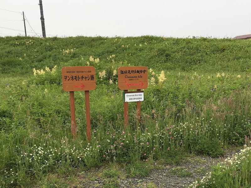 f:id:nankonyan:20200624120900j:plain