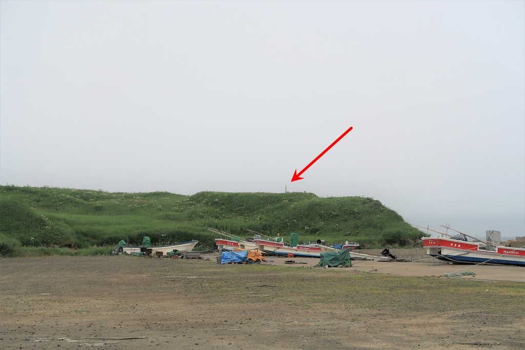 f:id:nankonyan:20200624130702j:plain