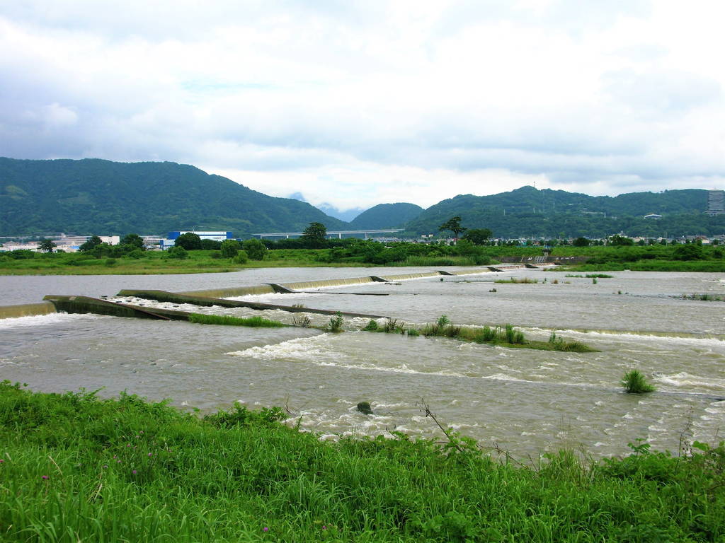 f:id:nankonyan:20200630130418j:plain f:id:nankonyan:20200630130418j:plain