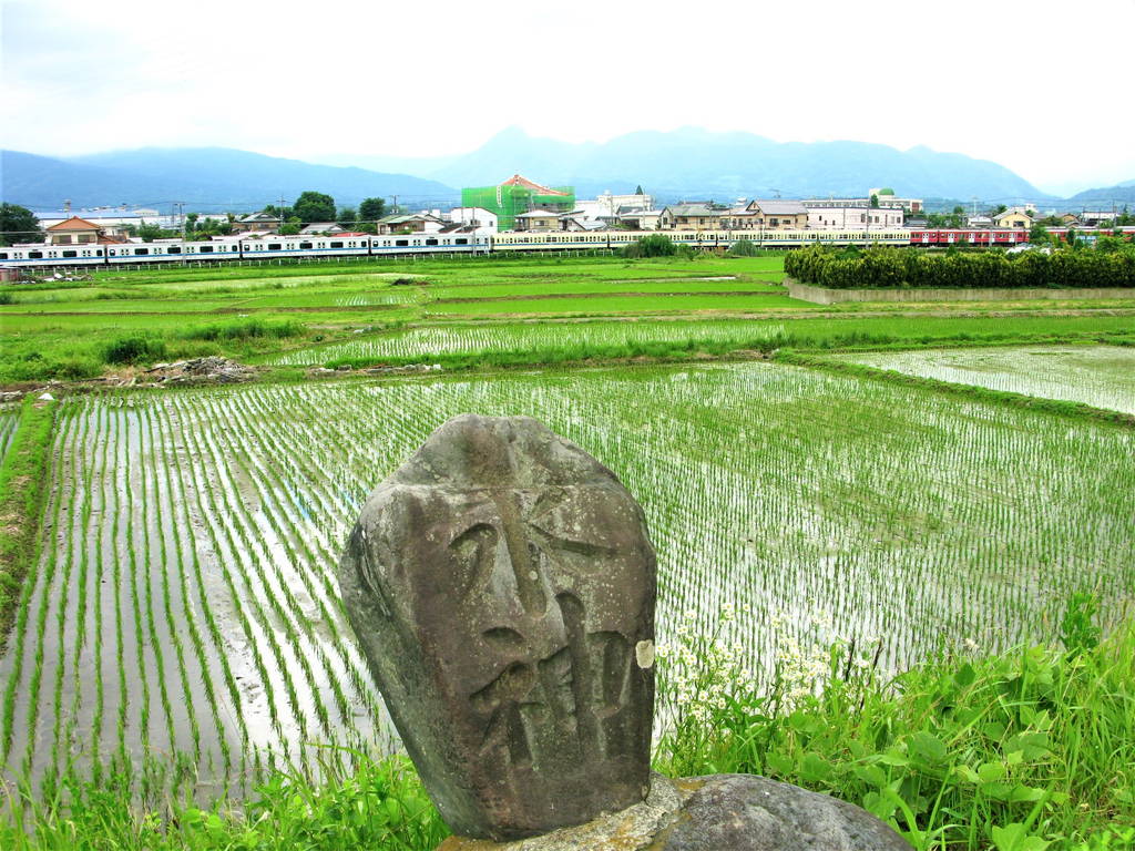 f:id:nankonyan:20200630130426j:plain f:id:nankonyan:20200630130426j:plain