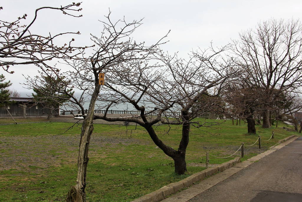 f:id:nankonyan:20200722190647j:plain f:id:nankonyan:20200722190647j:plain