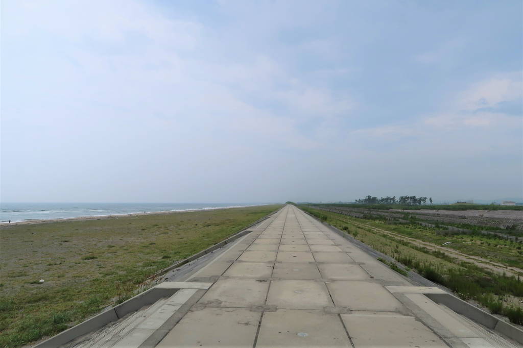 f:id:nankonyan:20200812155538j:plain f:id:nankonyan:20200812155538j:plain