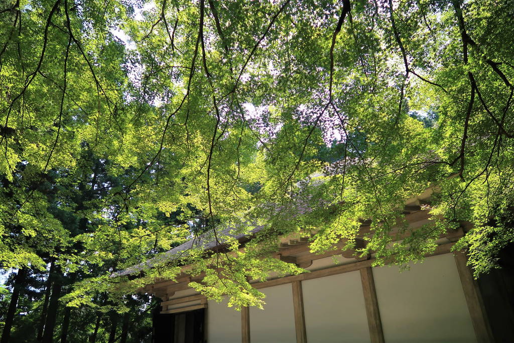 f:id:nankonyan:20200821105756j:plain f:id:nankonyan:20200821105756j:plain