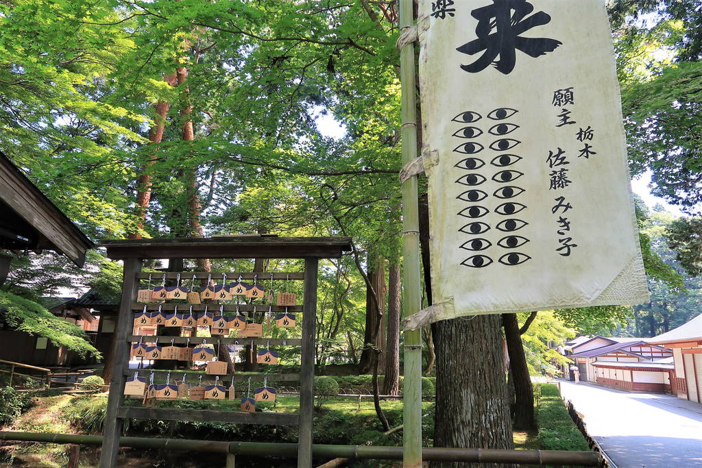 f:id:nankonyan:20200821113628j:plain f:id:nankonyan:20200821113628j:plain