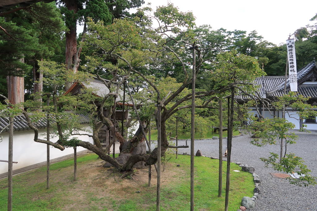 f:id:nankonyan:20200826111638j:plain f:id:nankonyan:20200826111638j:plain
