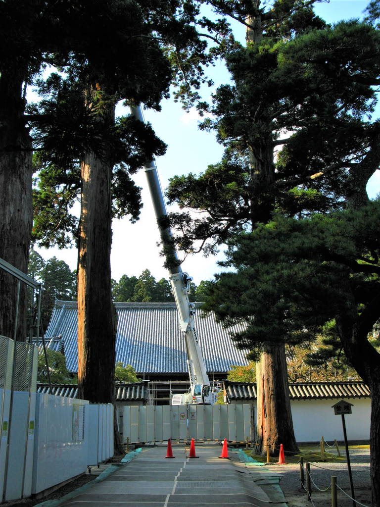 f:id:nankonyan:20200826111655j:plain f:id:nankonyan:20200826111655j:plain
