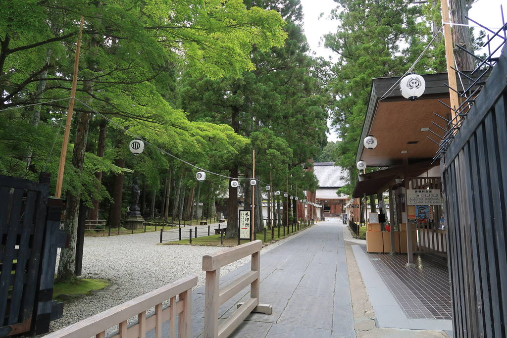 f:id:nankonyan:20200826111707j:plain f:id:nankonyan:20200826111707j:plain