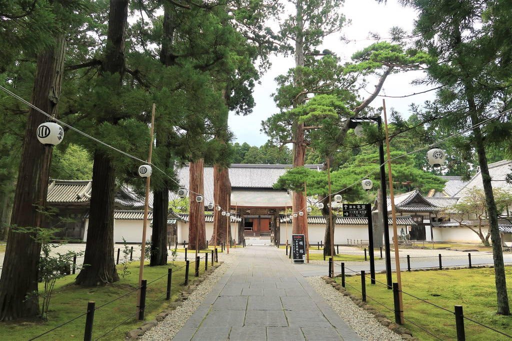 f:id:nankonyan:20200826111712j:plain f:id:nankonyan:20200826111712j:plain