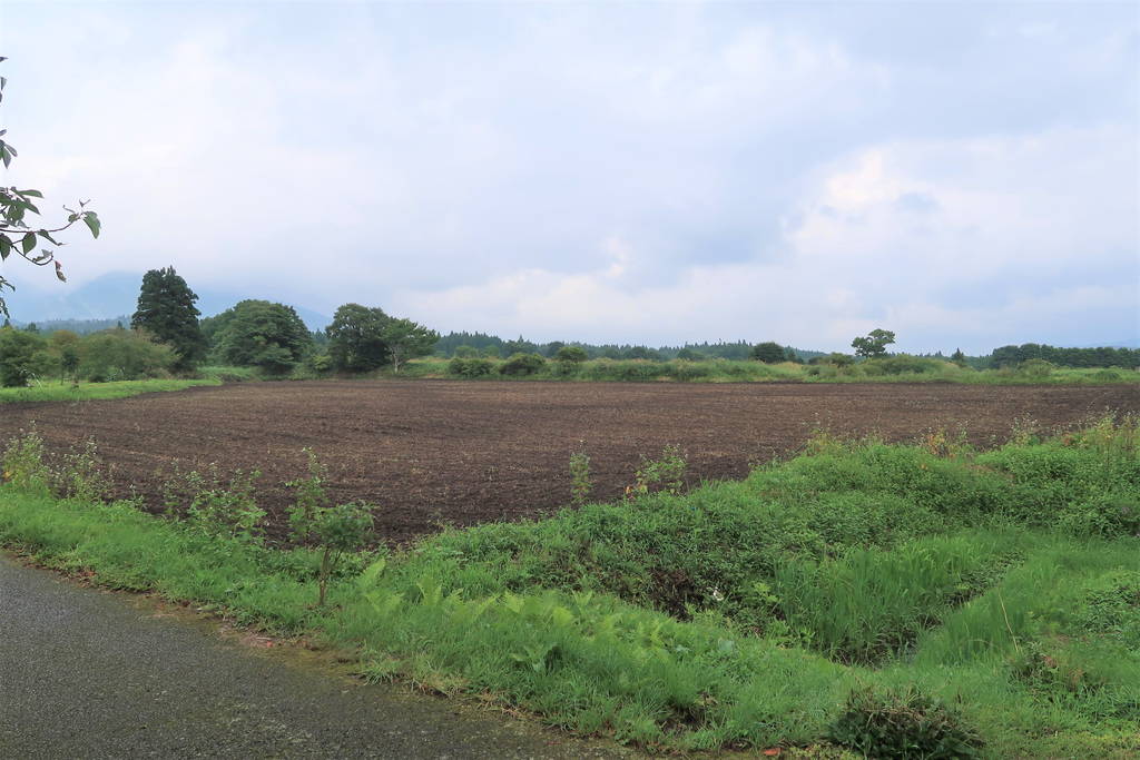 f:id:nankonyan:20200828134642j:plain f:id:nankonyan:20200828134642j:plain