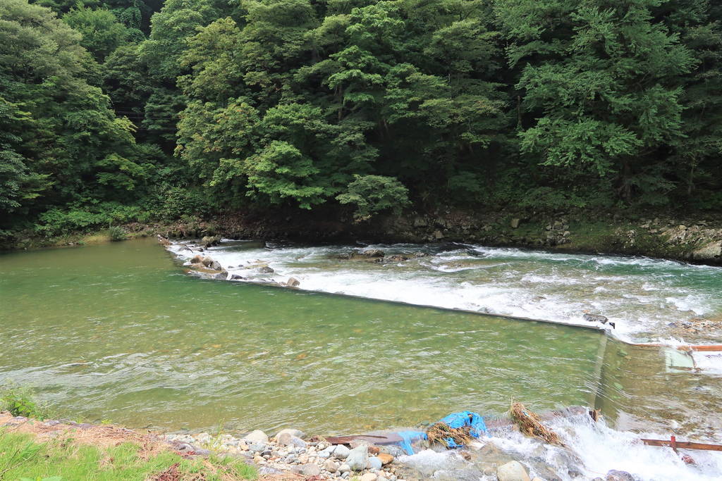 f:id:nankonyan:20200901130116j:plain f:id:nankonyan:20200901130116j:plain