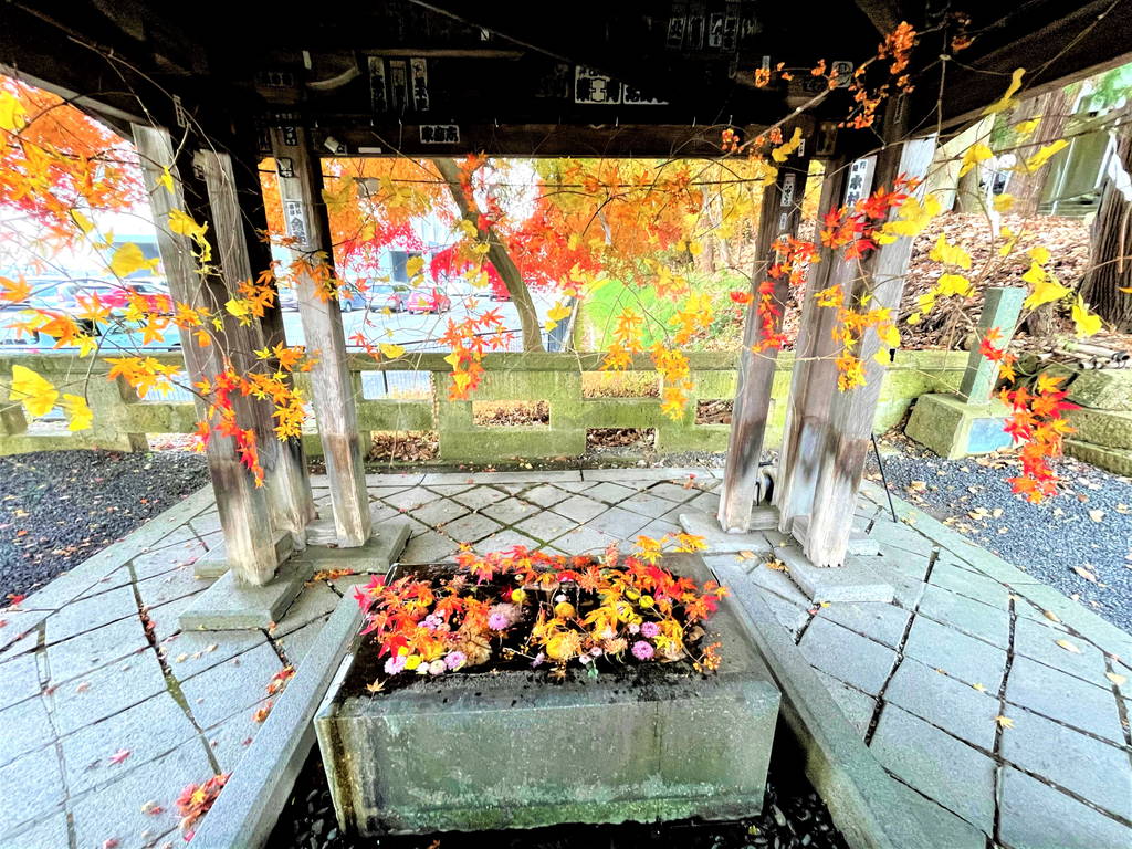 f:id:nankonyan:20201108101400j:plain f:id:nankonyan:20201108101400j:plain