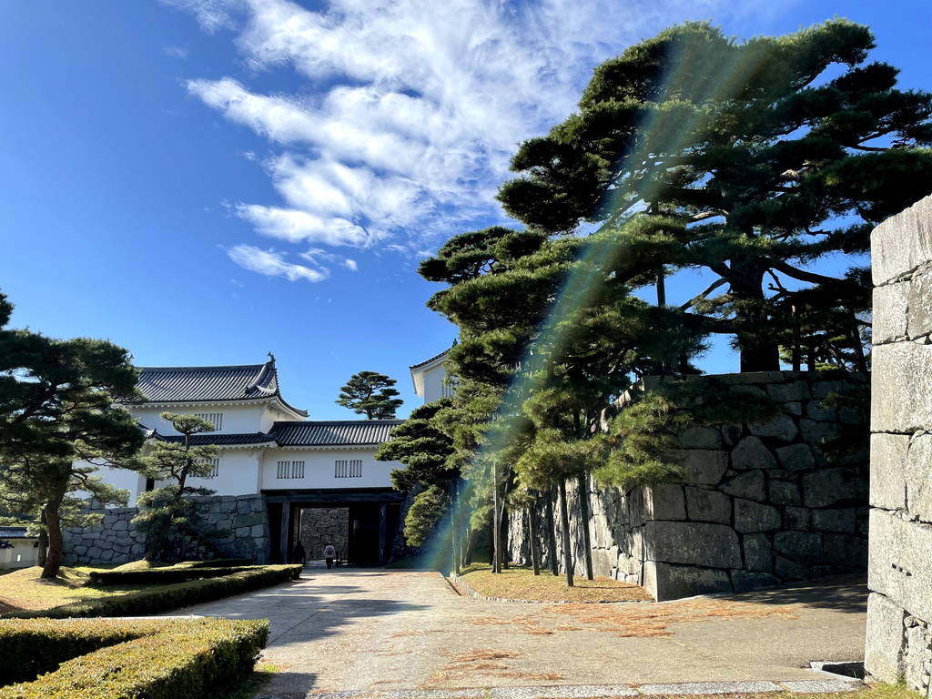 f:id:nankonyan:20201124105845j:plain