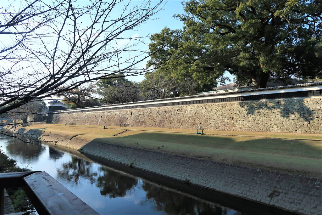 f:id:nankonyan:20201222142030j:plain