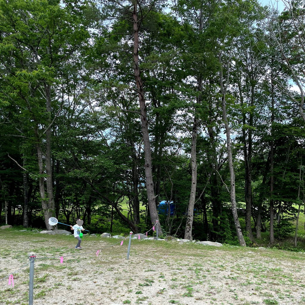 f:id:nankonyan:20210613133912j:plain