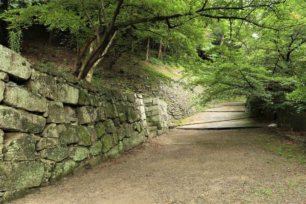 f:id:nankonyan:20210718154306j:plain