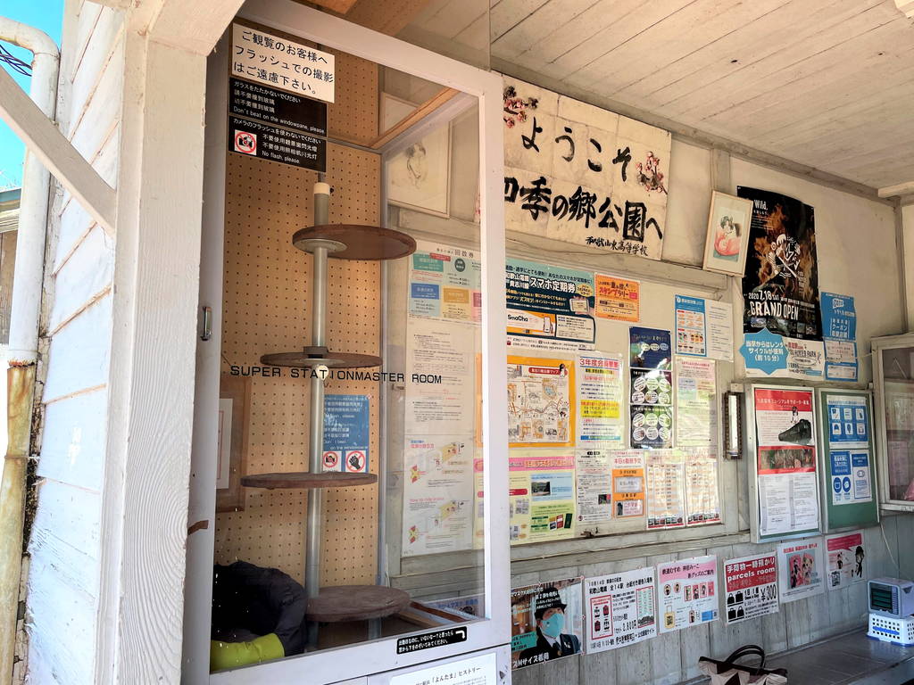 f:id:nankonyan:20210719105045j:plain