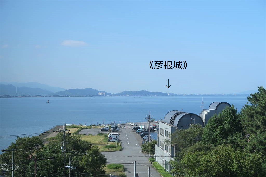 f:id:nankonyan:20210721081625j:plain
