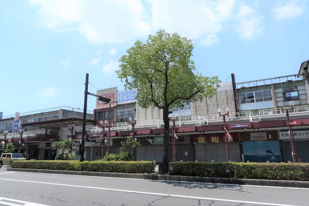 f:id:nankonyan:20210721114349j:plain