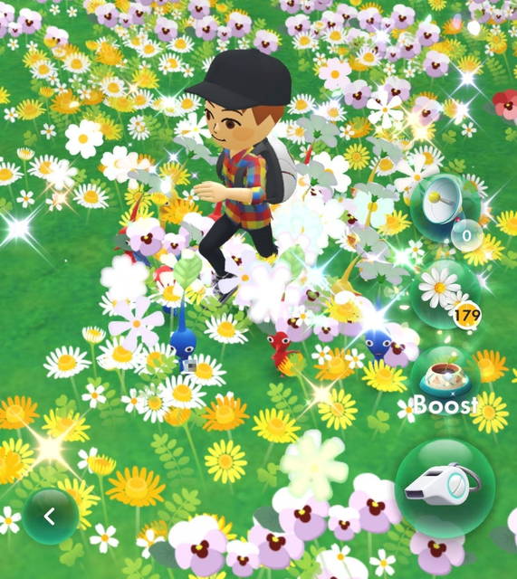 f:id:nankonyan:20211115133433j:plain