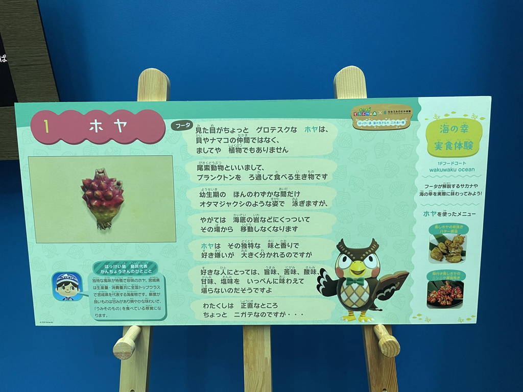f:id:nankonyan:20211116101252j:plain