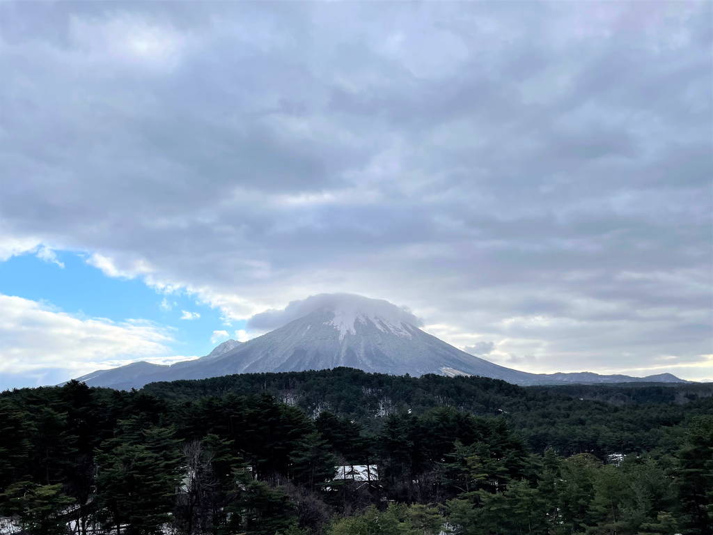 f:id:nankonyan:20211220093625j:plain