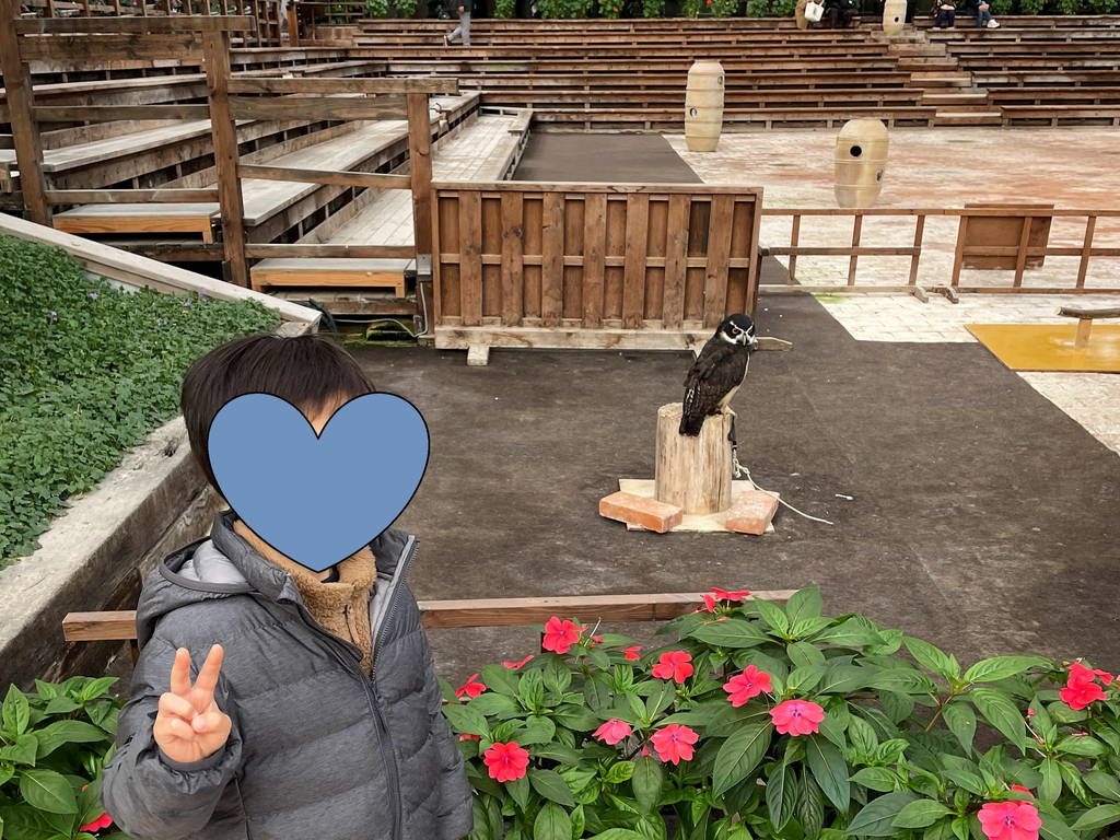 f:id:nankonyan:20211220145407j:plain