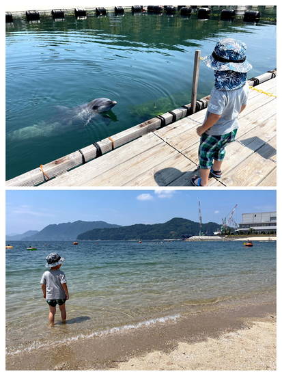 f:id:nankonyan:20211230184325j:plain