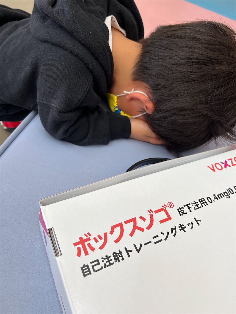 f:id:nankotsu-mukeisei:20230112111515j:image