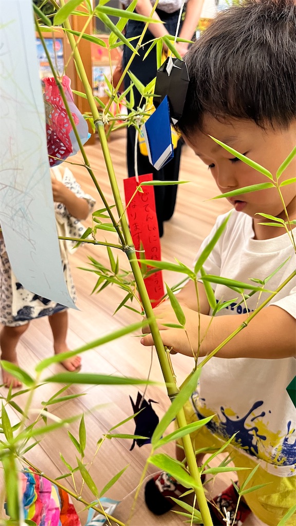 f:id:nankotsu-mukeisei:20230709100718j:image