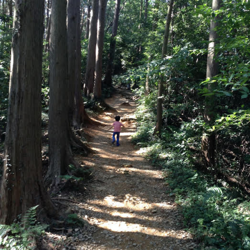 f:id:nankuruna13:20150925144713j:image